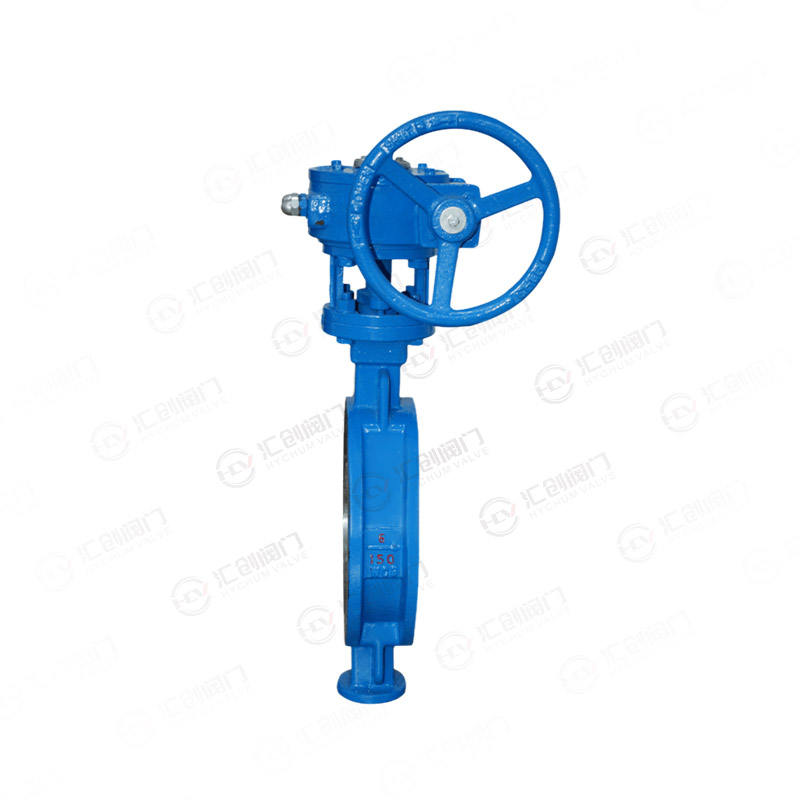Worm gear-to-butterfly valve
